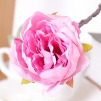 uploads/erp/collection/images/Home Garden/CongDing/XU0611767/img_b/XU0611767_img_b_4